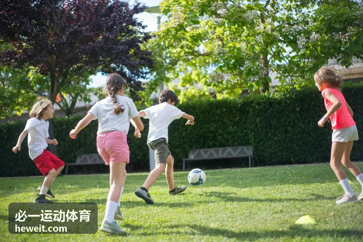 必一运动体育篮球爆发力